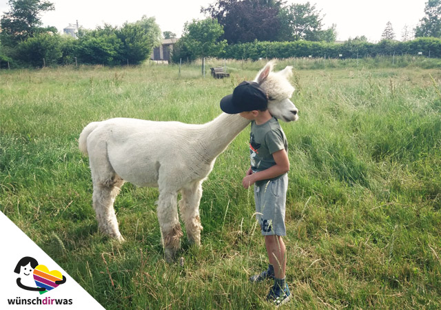 Alpakawanderung Wunscherfüllung