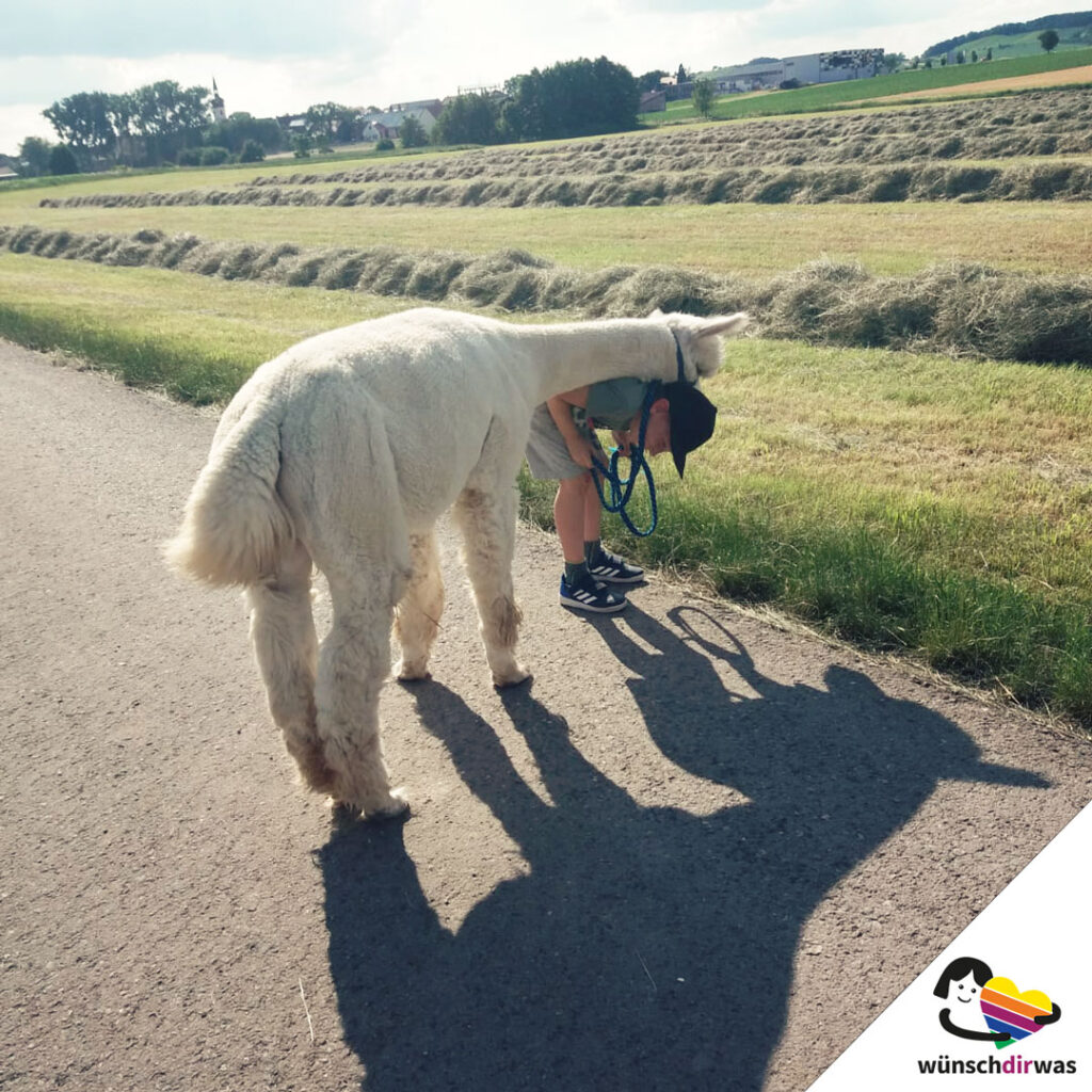 Alpakawanderung Wunscherfüllung
