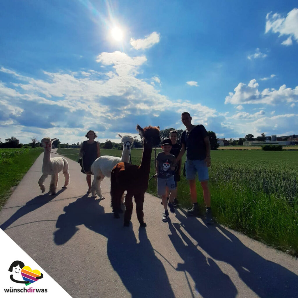 Alpakawanderung Wunscherfüllung