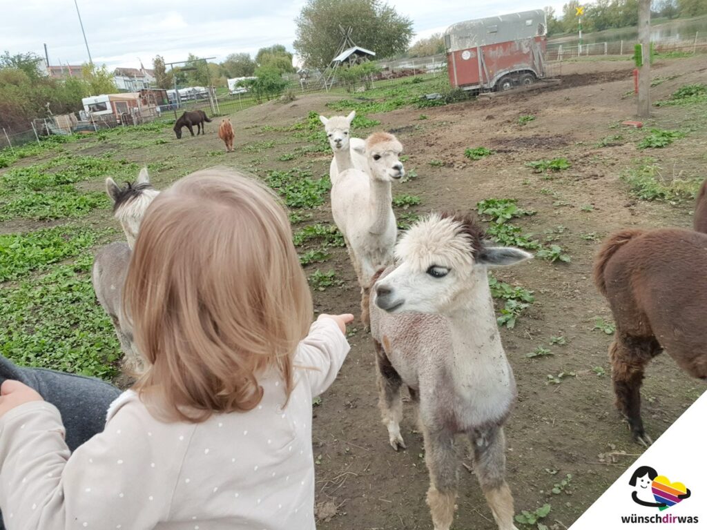 Alapaka-Frohnanza-Kooperation