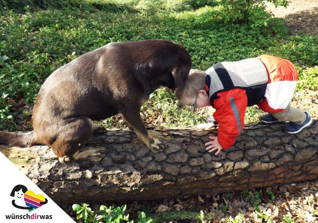Maik - tiergestützte Therapie - Wunscherfüllung