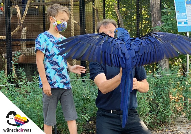 Maximilian Wunscherfüllung - Ara Henry