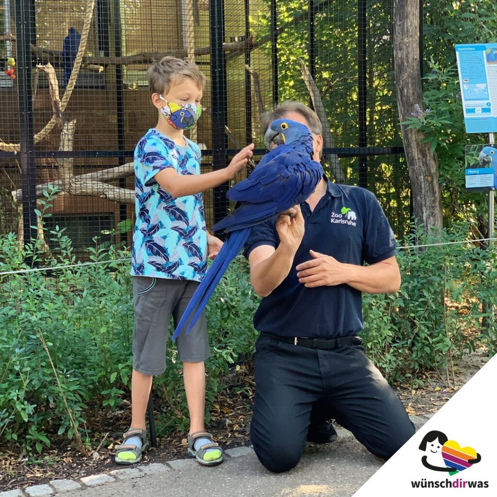 Maximilian Wunscherfüllung - Ara Henry