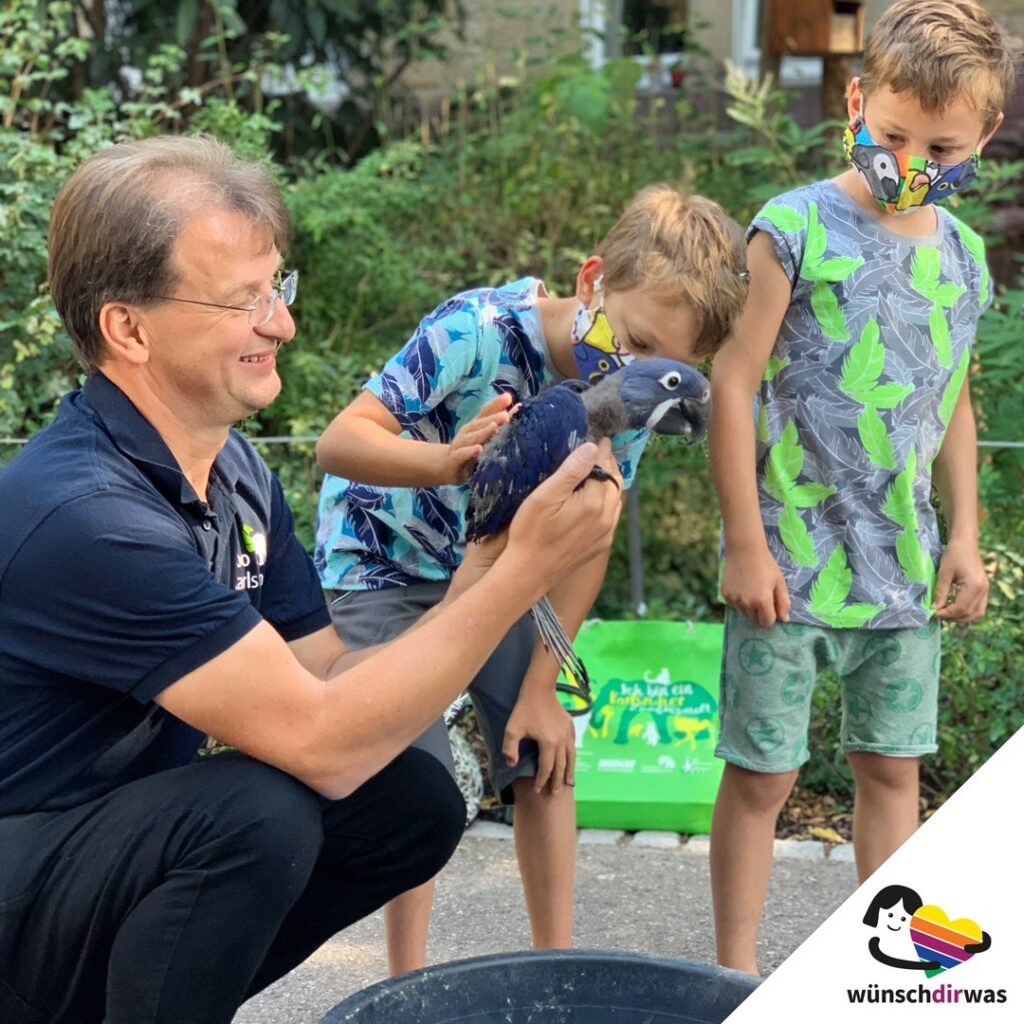 Maximilian Wunscherfüllung - Ara Henry