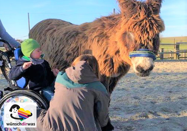 wunschherfüllung kind kinder